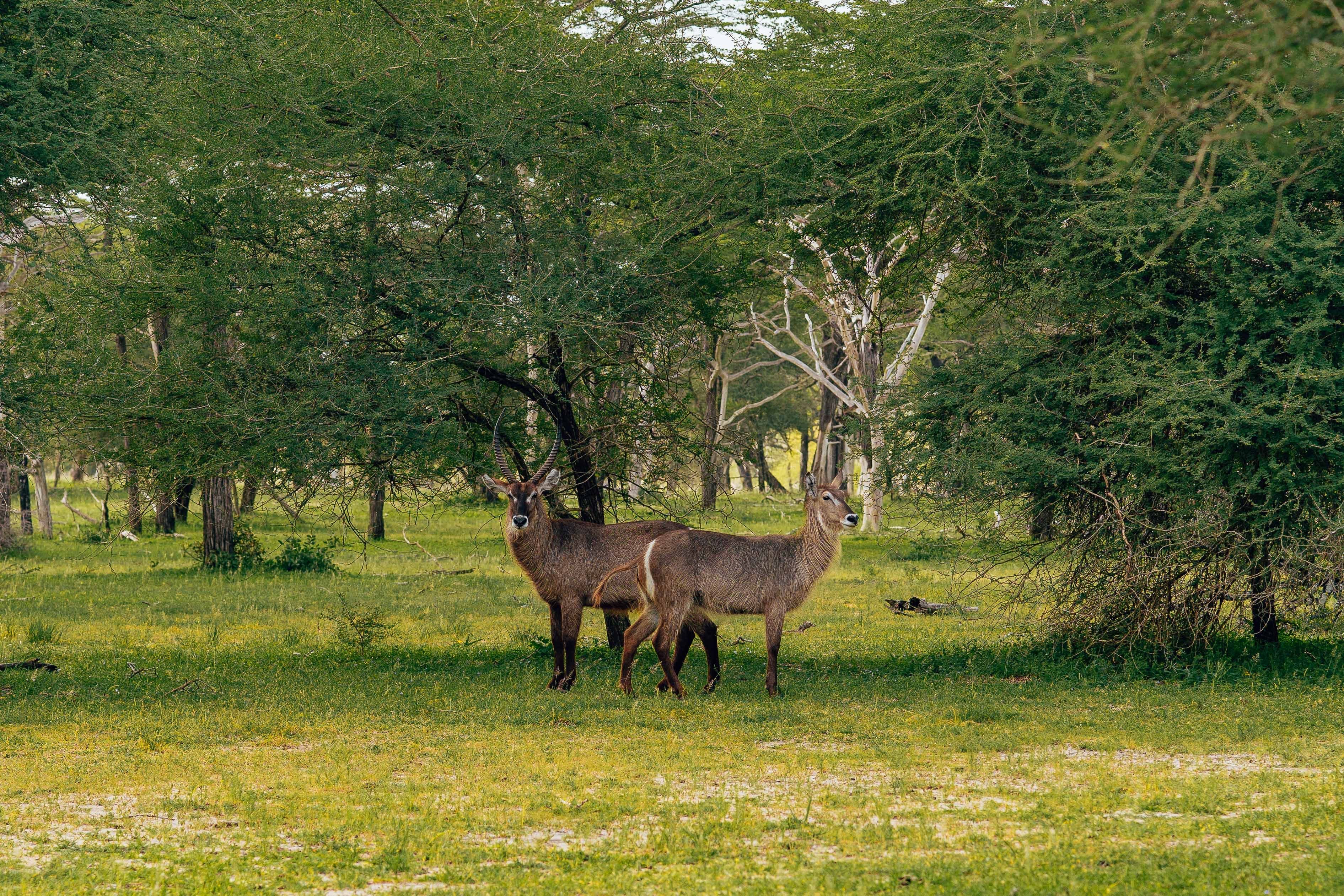 Paisagem e natureza em Nhamatanda
