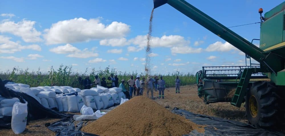 Nhamatanda integra formação de operadores de máquinas agrícolas